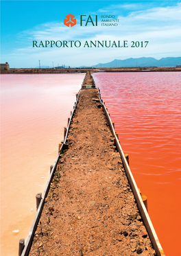 Rapporto Annuale 2017 Rapporto Annuale 2017