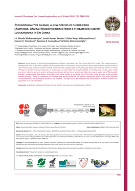 Pseudophilautus Dilmah, a New Species of Shrub Frog (Amphibia: Anura: Rhacophoridae) from a Threatened Habitat