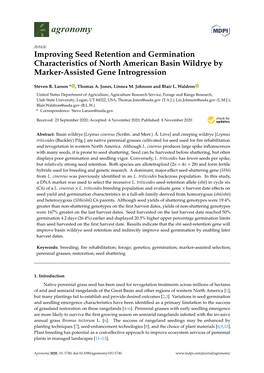 Improving Seed Retention and Germination Characteristics of North American Basin Wildrye by Marker-Assisted Gene Introgression