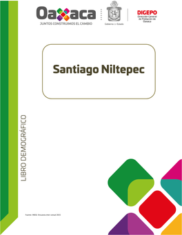 Santiago Niltepec Región