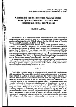 Competitive Exclusion Between Podarcis Lizards from Tyrrhenian Islands: Inference from Comparative Species Distributions