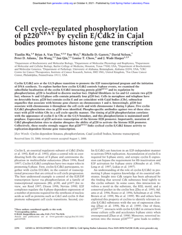 Cell Cycle–Regulated Phosphorylation of P220 by Cyclin E/Cdk2 in Cajal Bodies Promotes Histone Gene Transcription