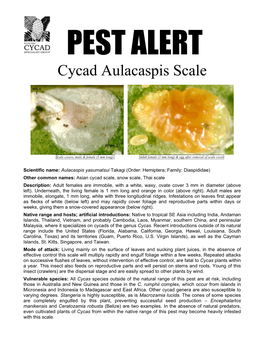 PEST ALERT Cycad Aulacaspis Scale