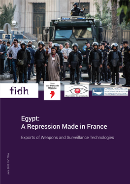 Egypt: a Repression Made in France Executive Summary