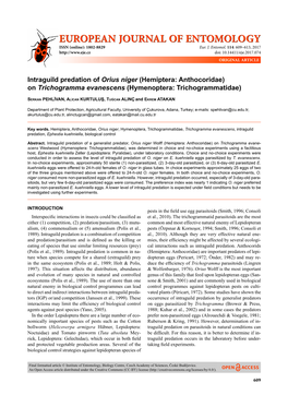 Intraguild Predation of Orius Niger (Hemiptera: Anthocoridae) on Trichogramma Evanescens (Hymenoptera: Trichogrammatidae)