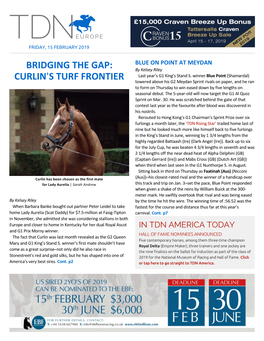 Bridging the Gap: Curlin=S Turf Frontier