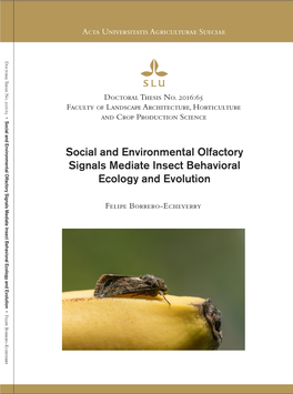 Social and Environmental Olfactory Signals Mediate Insect Behavioral Ecology and Evolution