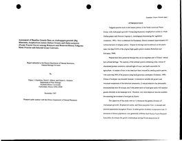 Assessment of Baseline Genetic Data on Androppgon Gerardii (Big (Anderson, 1991)