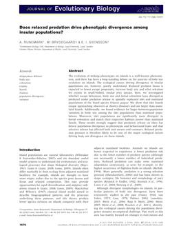 Does Relaxed Predation Drive Phenotypic Divergence Among Insular Populations?