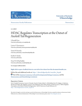 HDAC Regulates Transcription at the Outset of Axolotl Tail Regeneration S