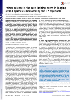 Primer Release Is the Rate-Limiting Event in Lagging-Strand Synthesis