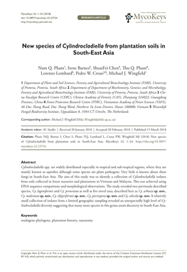 ﻿New Species of Cylindrocladiella from Plantation Soils in South-East Asia