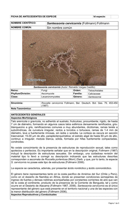 Santessonia Cervicornis (Follmann) Follmann NOMBRE COMÚN: Sin Nombre Común