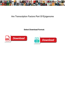 Are Transcription Factors Part of Epigenome