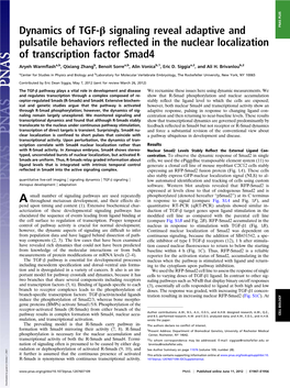 Dynamics of TGF-Β Signaling Reveal Adaptive and Pulsatile Behaviors Reflected in the Nuclear Localization of Transcription Fact