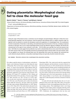 Dating Placentalia: Morphological Clocks Fail to Close the Molecular Fossil Gap