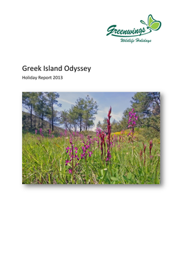 Greek Island Odyssey Holiday Report 2013