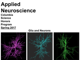 Glia and Neurons Glia and Neurons Objective: Role of Glia in Nervous System Agenda: 1
