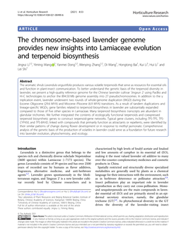 The Chromosome-Based Lavender Genome Provides New Insights Into