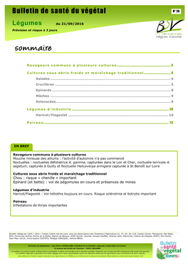 Bulletin De Santé Du Végétal N° 26