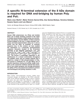 A Specific N-Terminal Extension of the 8 Kda Domain Is Required for DNA End-Bridging by Human Polk and Polj