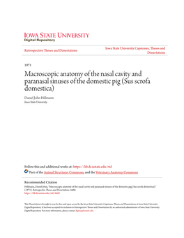 Macroscopic Anatomy of the Nasal Cavity and Paranasal Sinuses of the Domestic Pig (Sus Scrofa Domestica) Daniel John Hillmann Iowa State University