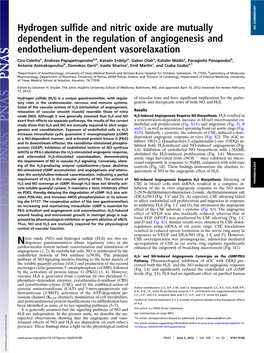 Hydrogen Sulfide and Nitric Oxide Are Mutually Dependent in The