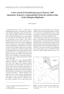 A New Record of Pseudoboodon Gascae Peracca, 1897 (Squamata: Serpentes: Lamprophiidae) from the Southern Edge of the Ethiopian Highlands