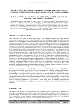 Biostratigraphy and Palaeoenvironment of the Lower Gosau Subgroup of Eisenbach Brook in Salzkammergut (Upper Austria)