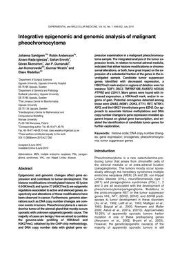 Integrative Epigenomic and Genomic Analysis of Malignant Pheochromocytoma