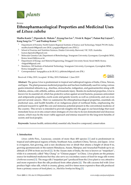 Ethnopharmacological Properties and Medicinal Uses of Litsea Cubeba