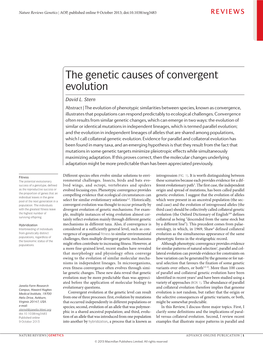 The Genetic Causes of Convergent Evolution