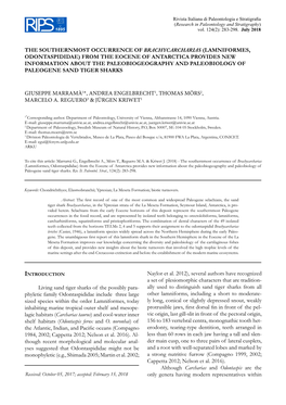 Lamniformes, Odontaspididae) from the Eocene of Antarctica Provides New Information About the Paleobiogeography and Paleobiology of Paleogene Sand Tiger Sharks