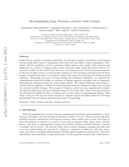 On Stimulating Fungi Pleurotus Ostreatus with Cortisol