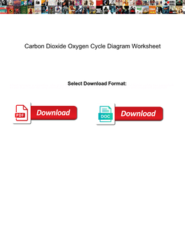 Carbon Dioxide Oxygen Cycle Diagram Worksheet