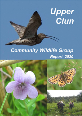 2020 UCCWG Report