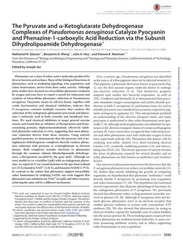 Ketoglutarate Dehydrogenase Complexes of Pseudomonas