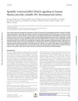 Spatially Restricted JAG1-Notch Signaling in Human Thymus Provides Suitable DC Developmental Niches