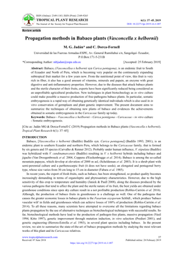 Propagation Methods in Babaco Plants (Vasconcella X Helbornii)