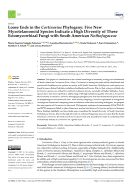 Loose Ends in the Cortinarius Phylogeny: Five New Myxotelamonoid Species Indicate a High Diversity of These Ectomycorrhizal Fungi with South American Nothofagaceae