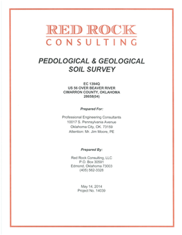 Red Rock Consulting