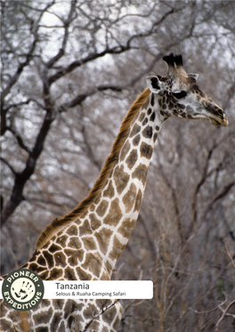 Tanzania • Selous & Ruaha Camping Safari