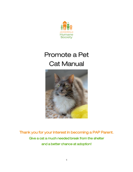 Promote a Pet Cat Manual