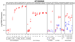 R Graphics Output