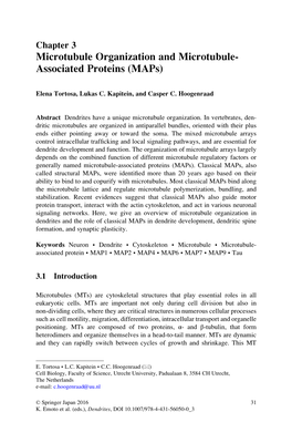 Microtubule Organization and Microtubule- Associated Proteins (Maps)