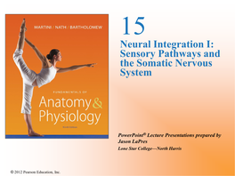 Sensory Pathways and the Somatic Nervous System