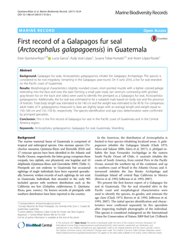 First Record of a Galapagos Fur Seal (Arctocephalus Galapagoensis) In