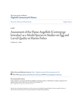 Assessment of the Flame Angelfish (Centropyge Loriculus) As a Model Species in Studies on Egg and Larval Quality in Marine Fishes Chatham K