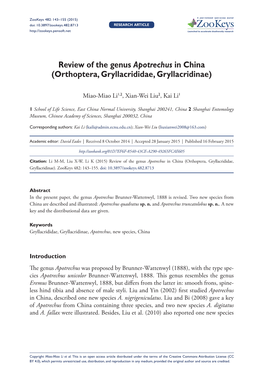 ﻿Review of the Genus Apotrechus in China (Orthoptera, Gryllacrididae, Gryllacridinae)