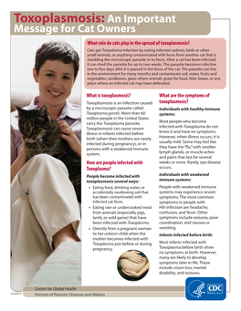 Toxoplasmosis: an Important Message for Cat Owners
